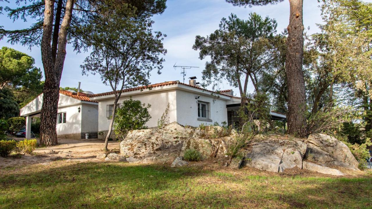 Chalet Con Piscina En טורלודונס מראה חיצוני תמונה