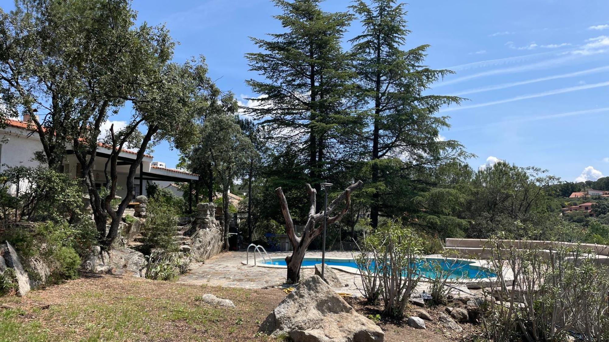Chalet Con Piscina En טורלודונס מראה חיצוני תמונה